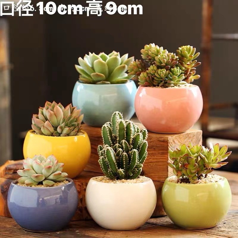 花盆